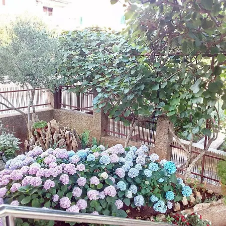 Bozena Apartman Zára